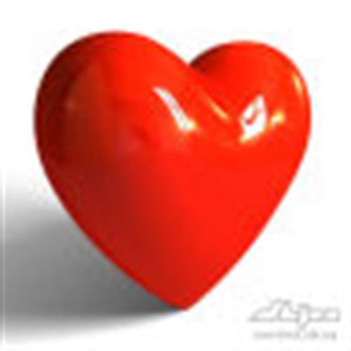 ali4f4&nbsp;alavi4f4