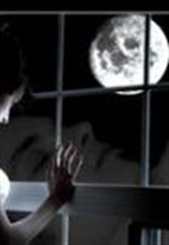 mehrdad&nbsp;----------