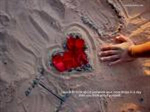 mohseen&nbsp;mahmudii