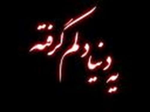 mahya2008&nbsp;n