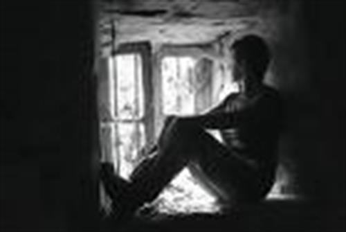 tak darakht&nbsp;......