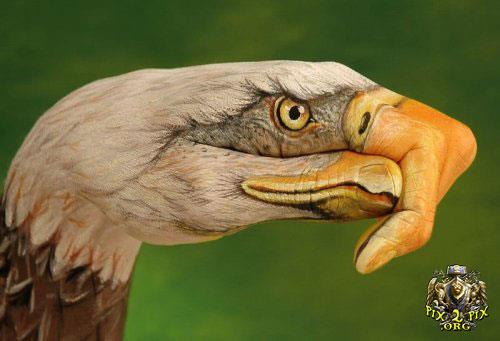 shahram&nbsp;bamaram