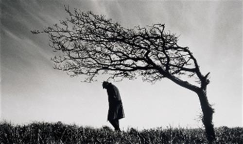 armin&nbsp;rezai pour