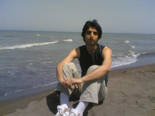 meisam&nbsp;mirmoradi