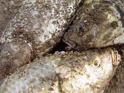 oooooooo&nbsp;oooooooooo