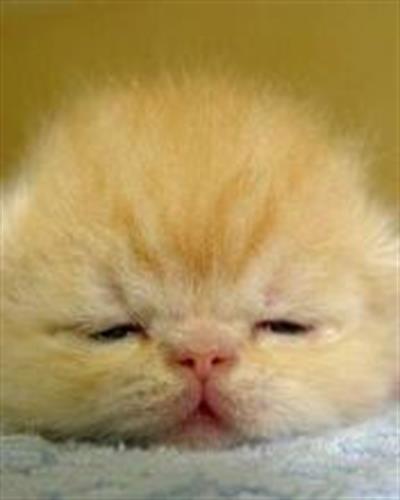 hhhhh&nbsp;hhhhhhh