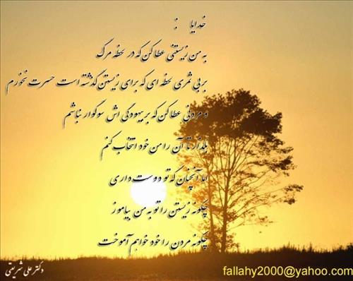 alone&nbsp;pure love