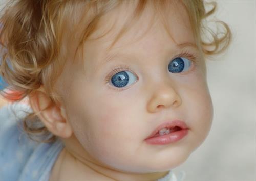 hamid&nbsp;shahriyari