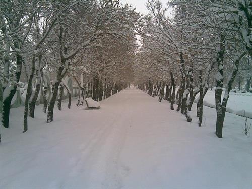 pedram&nbsp;akbarei
