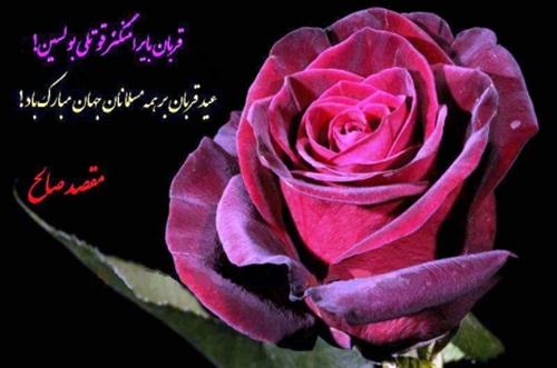 saeed61&nbsp;nikbakhsh