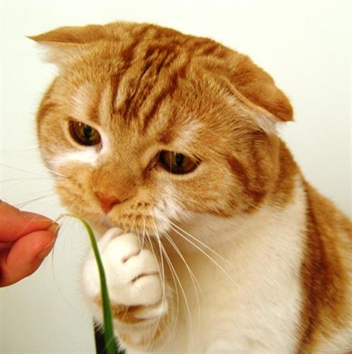 reza&nbsp;esmailpour