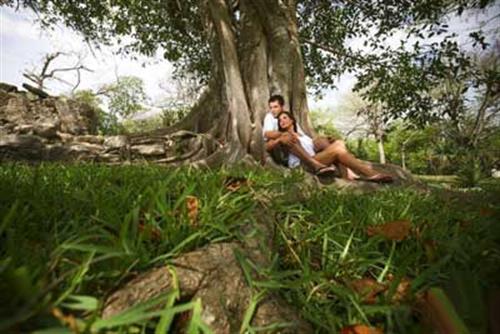 parisa&nbsp;alizadeh