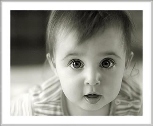 arash&nbsp;   k