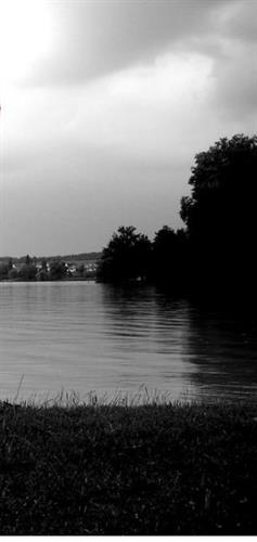 sepide&nbsp;aghamohammady