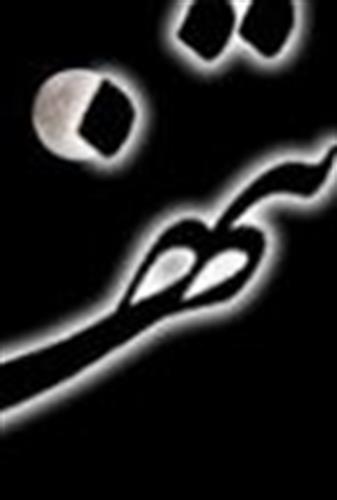 hasty&nbsp;mashreghy