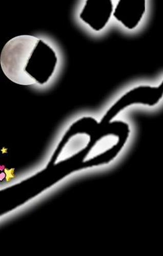 bardia&nbsp;tahamtan